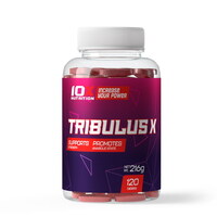 Стимулятор тестостерону 10XNutrition Tribulus X, 120 таблеток