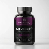 Жироспалювач VitalHarmony Fat Burner Night, 60 капсул